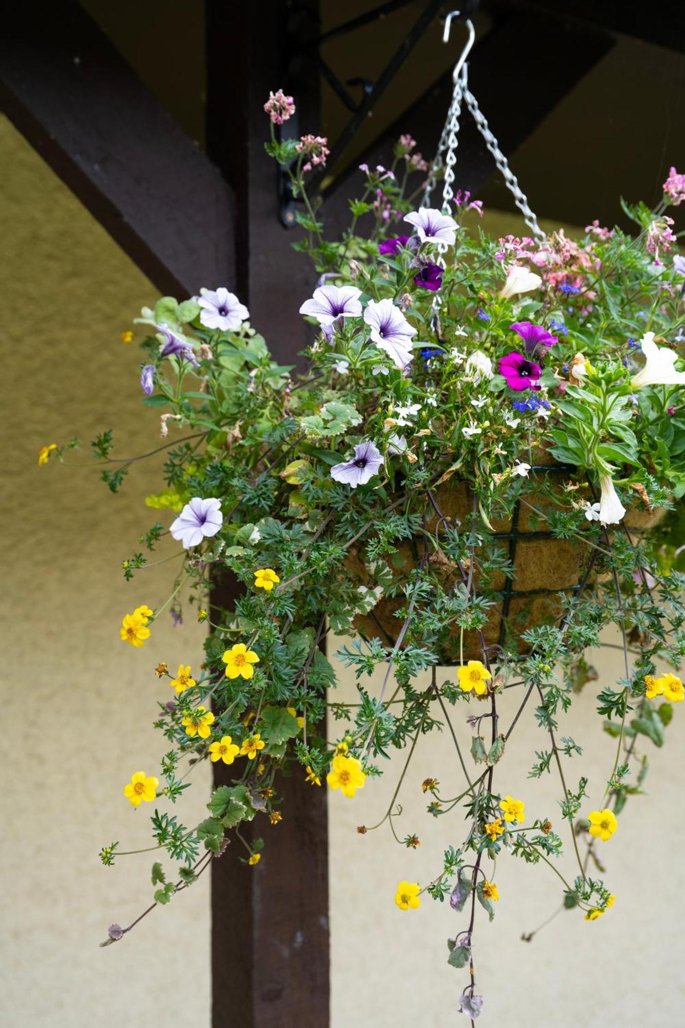 Cricklade House Hotel, Sure Hotel Collection By Best Western Exterior photo